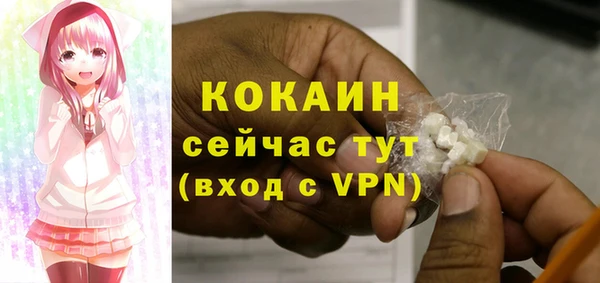 индика Вязники