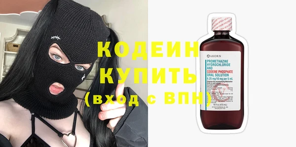 дурь Вяземский