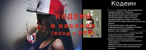 индика Вязники