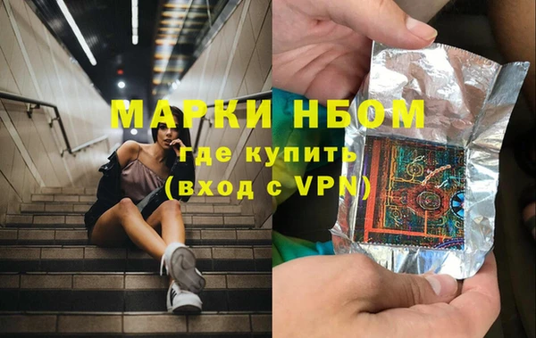 индика Вязники