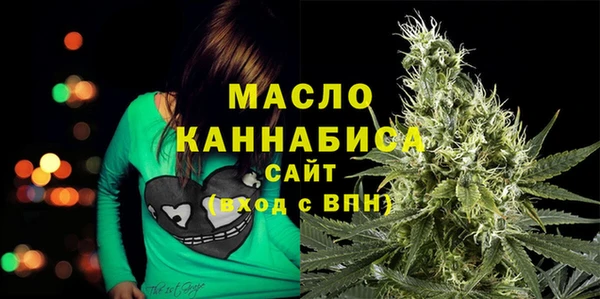 индика Вязники