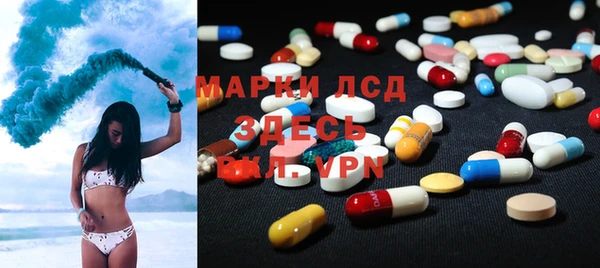 индика Вязники