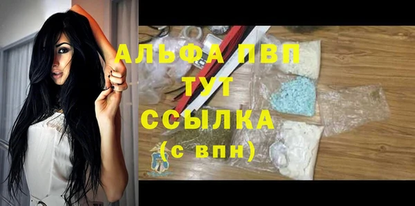 индика Вязники