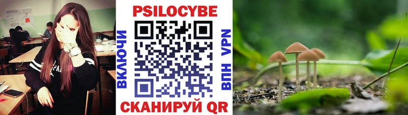 купить наркотики сайты  Подольск  Псилоцибиновые грибы Psilocybine cubensis 